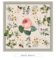 TOILE CIRÉE - Redouté - beige