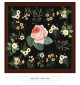 TOILE CIRÉE - Redouté - noir