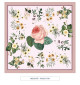 TOILE CIRÉE - Redouté - rose
