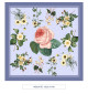 TOILE CIRÉE - Redouté - bleu
