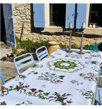 TOILE CIRée, chinoiserie rouge vert