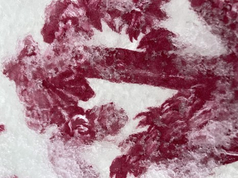 LAISSER SA TOILE CIRÉE DEHORS TOUTE L'ANNÉE ? OUI ? NON ?